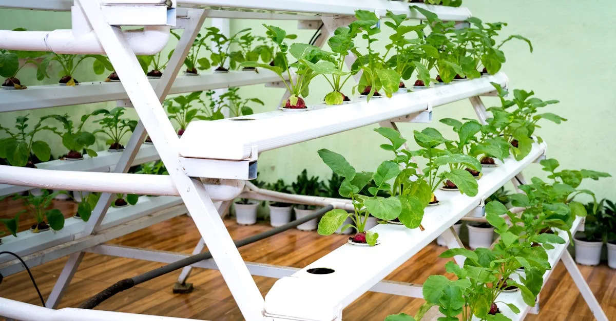 découvrez l'aquaponie, un système écologique combinant élevage de poissons et culture de plantes, pour un jardinage durable et innovant.
