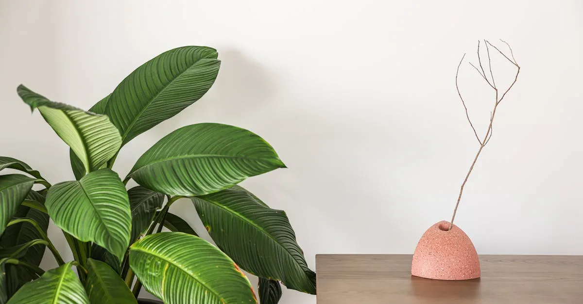 découvrez notre décoration élégante et naturelle en jesmonite, alliant esthétique raffinée et matériaux écologiques pour sublimer votre intérieur.