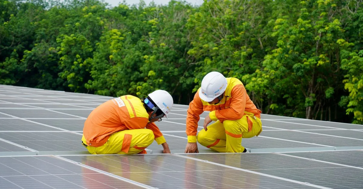 découvrez les réglementations environnementales essentielles pour protéger notre planète, garantir la conformité légale et promouvoir un développement durable.